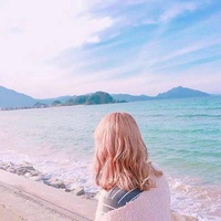 velvet 放映员
